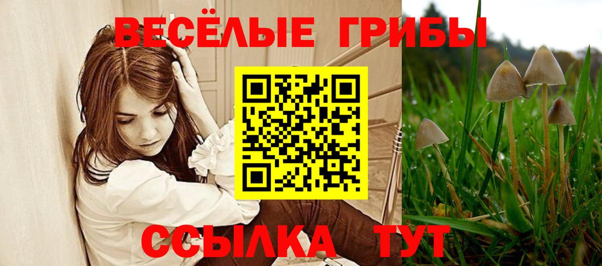 Псилоцибиновые грибы GOLDEN TEACHER Урай