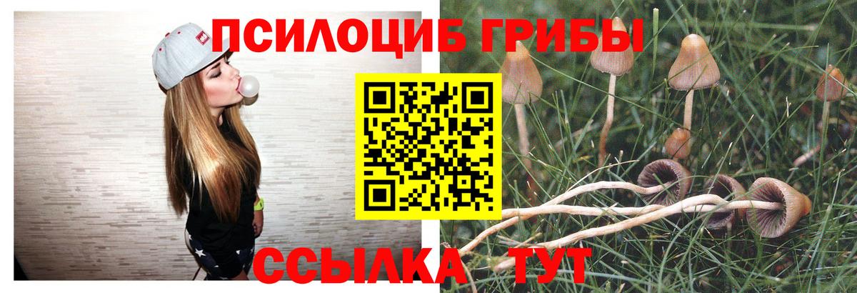 Урай  Псилоцибиновые грибы Psilocybine cubensis  Вход с VPN 